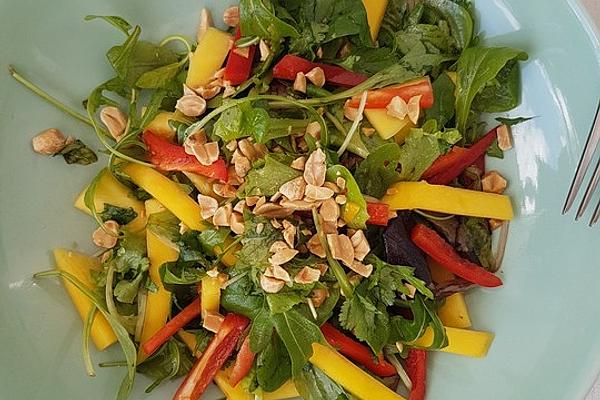Exotic Mango Salad with Bell Pepper, Coriander and Peanuts