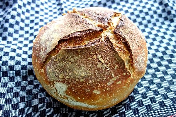 Farmer`s Bread from Pot