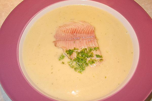 Fennel Soup with White Wine