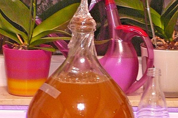 Forest Honey Mead