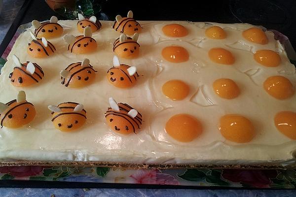 Fried Egg Cake from Tray