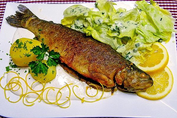 Fried Rainbow Trout with Horseradish Dip
