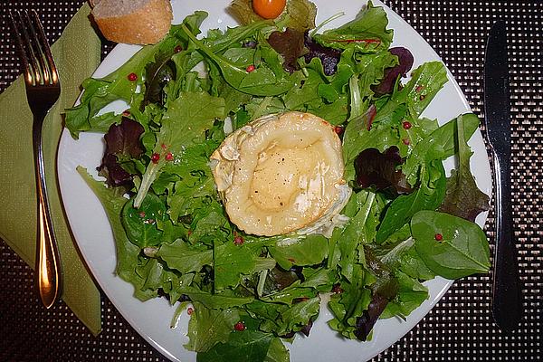 Goat Cheese Gratinated on Wild Herb Salad