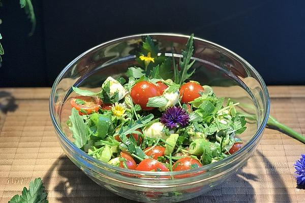 Herbal Salad with Mozzarella