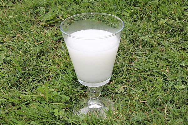 Homemade Coconut Milk from Desiccated Coconut
