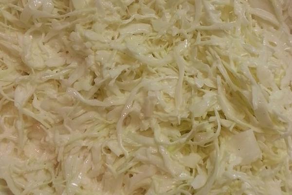 Homemade White Cabbage Salad Grandmother`s Style