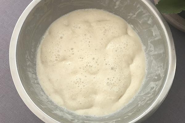 Instructions for Growing Hermann Sourdough Without Yeast