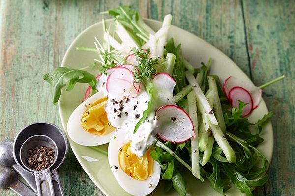 Kohlrabi Salad with Cress – Sour Cream