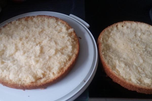 Kuechlis Gluten-free Sponge Cake Base
