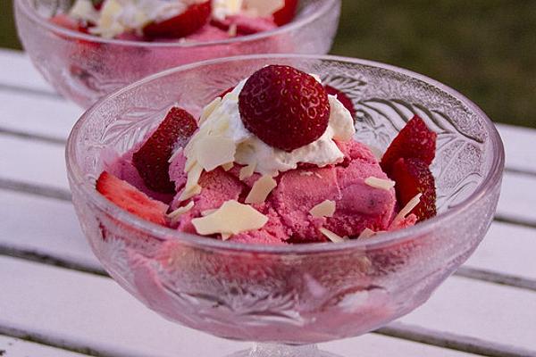 Kuechlis Strawberry Ice Cream for Ice Cream Machine