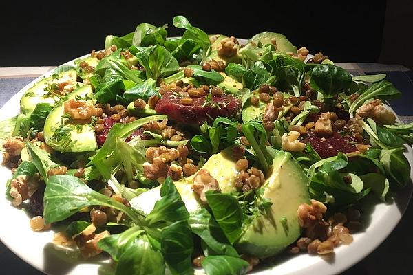 Lamb`s Lettuce with Beetroot, Avocado and Mountain Lentils