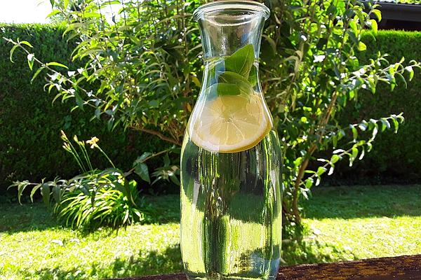 Lemon and Basil Water