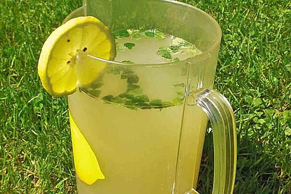 Lemon Soda with Lemon Balm and Cane Sugar