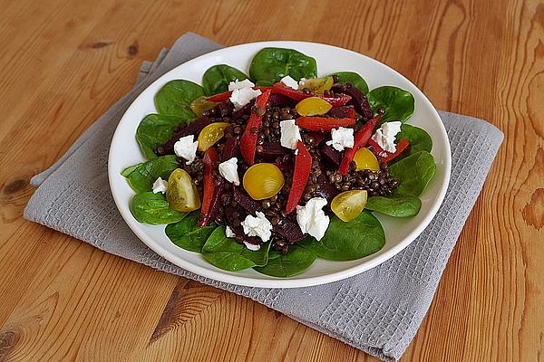 Lentil Salad with Beetroot, Bell Pepper and Spinach