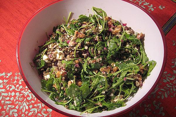 Lentil Salad with Cranberries and Walnuts