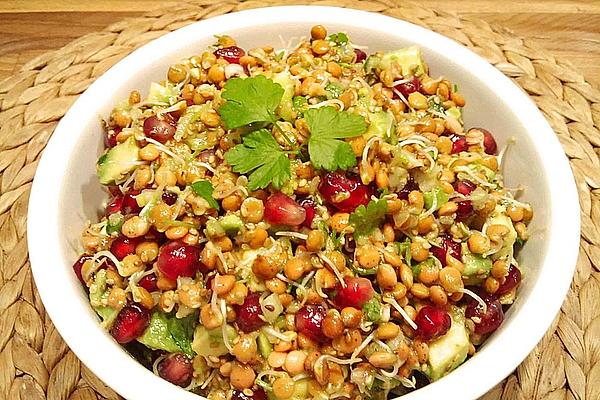 Lentil Sprout Salad with Pomegranate