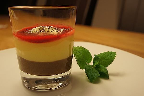 Mango Mousse with Raspberry Sauce