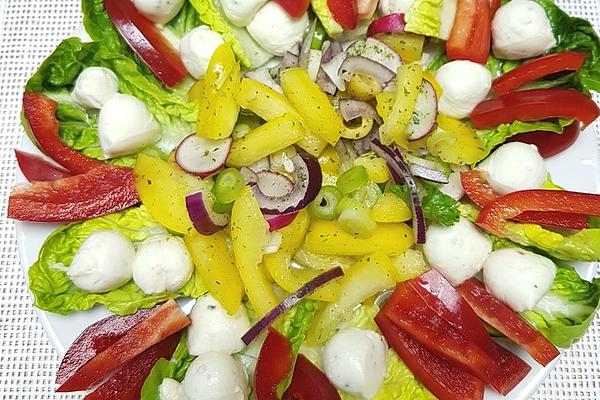 Mediterranean Salad with Mini Mozzarella