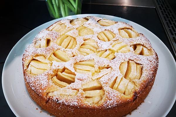 Mega Delicious Apple Cake By Aunt Uschi