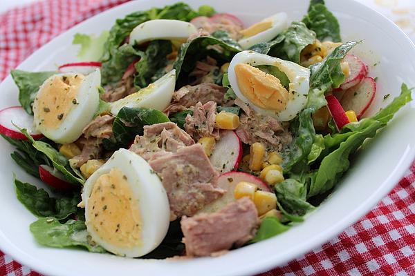 Mixed Salad with Tuna, Egg and Yogurt Dressing