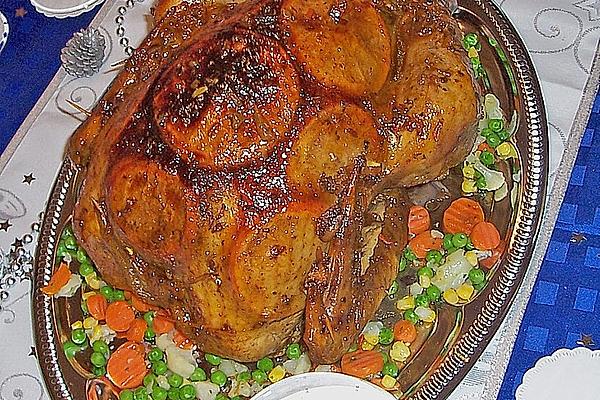 Orange Turkey