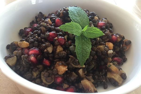 Oriental jewel Lentil Salad Made from Beluga Lentils with Apricots, Mint and Pomegranate Seeds