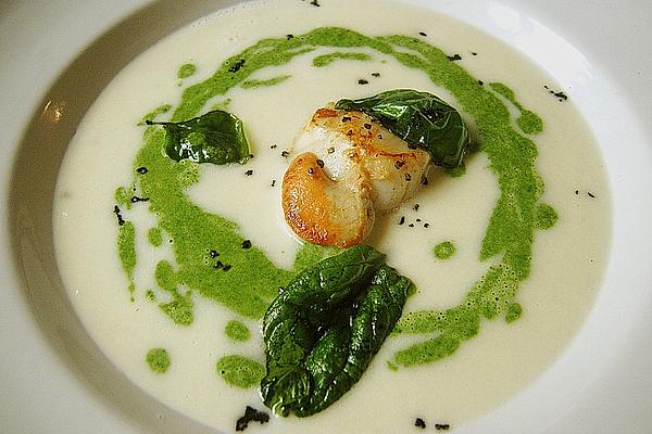 Parsley Root – Soup with Spinach Foam, Scallops and Fried Spinach
