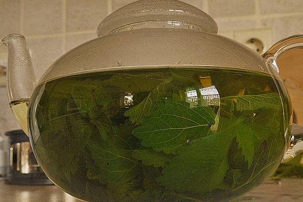 Peppermint – Lemon Balm – Tea