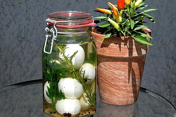 Pickled Eggs with Herbs