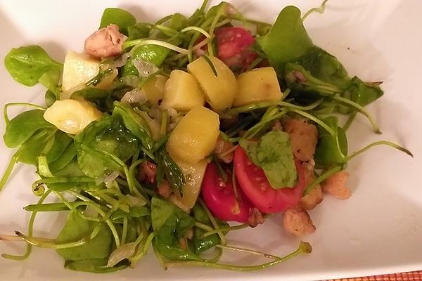 Postelein Salad on Potato Vinaigrette