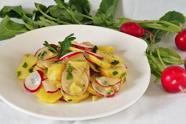 Potato and Radish Salad