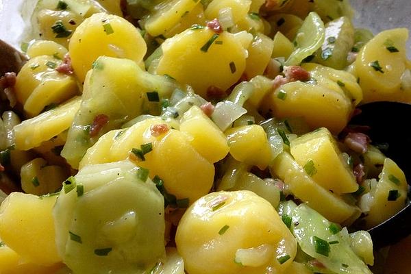 Potato Salad with Jerky Meat and Cucumber