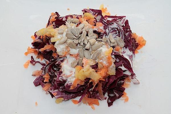 Radicchio Salad with Carrot, Apple and Sunflower Seeds