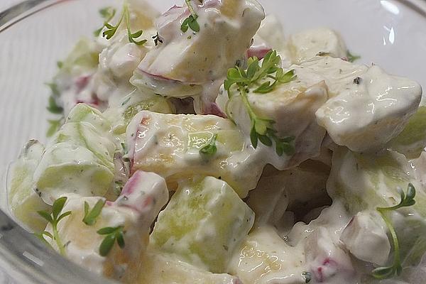 Radish – Apple – Cucumber – Salad