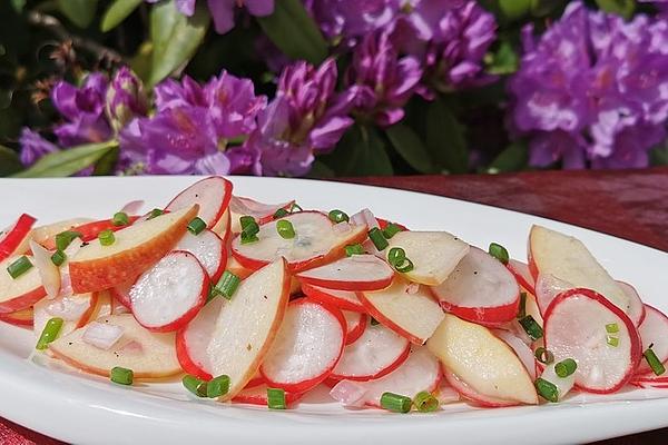 Radish Salad with Onions and Apple