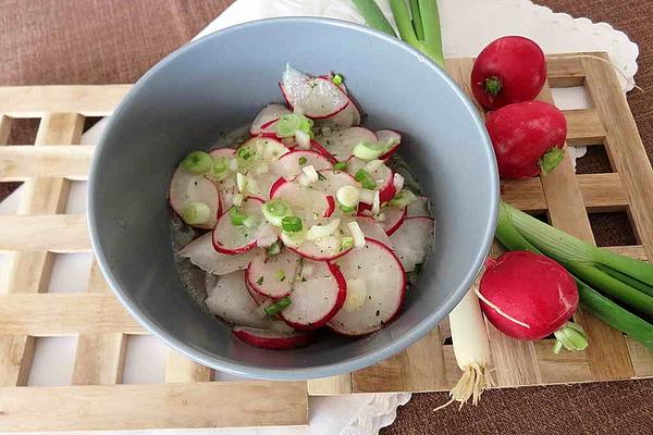 Radish Salad with Spring Onions