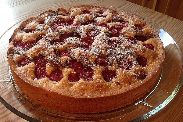 Raspberry Cake with Chocolate Chips