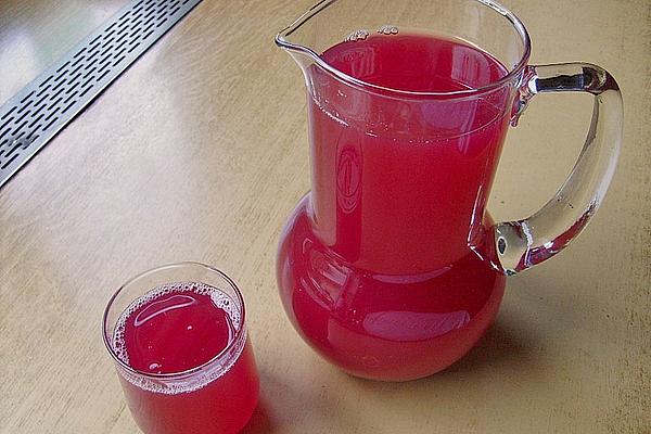 Rhubarb – Iced Tea