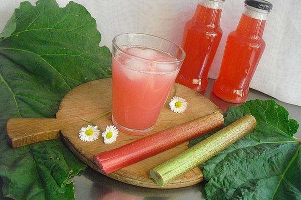 Rhubarb Juice from Steam Extractor