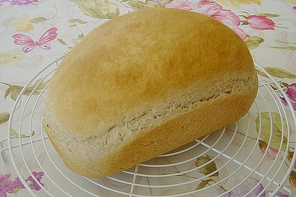 Roman Bread