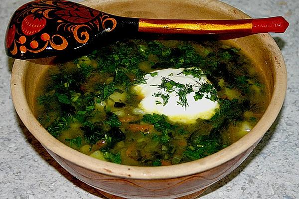 Russian-style Green Herb Soup