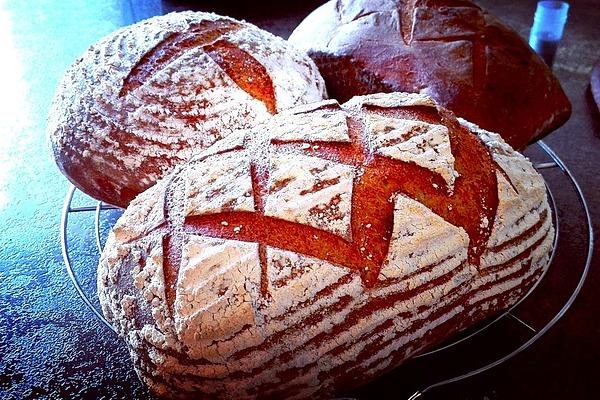 Rustic Rye – Spelled Bread