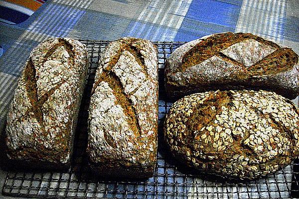 Rye – Spelled – Bread