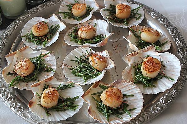 Scallops with Source Salad