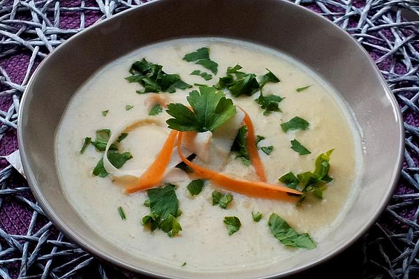 Simple Parsley Root Soup