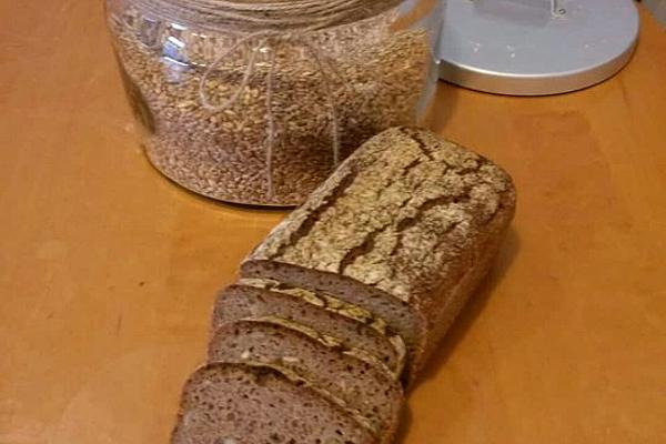 Sourdough – Whole Grain Bread