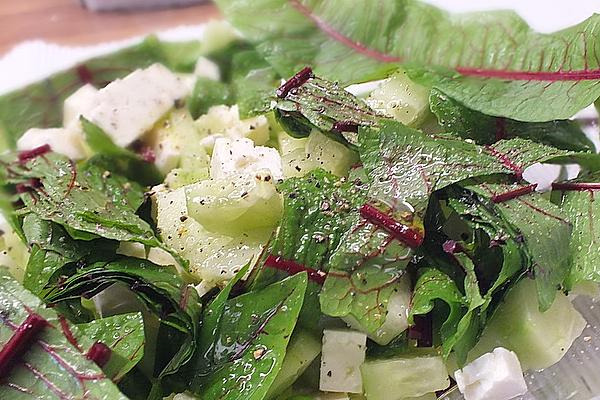 Spicy Cucumber Salad with Sorrel