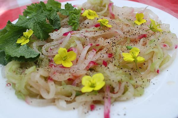 Spicy, Hot Cucumber and Radish Salad