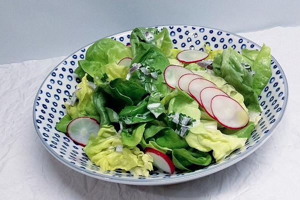 Spring Lettuce with Radishes