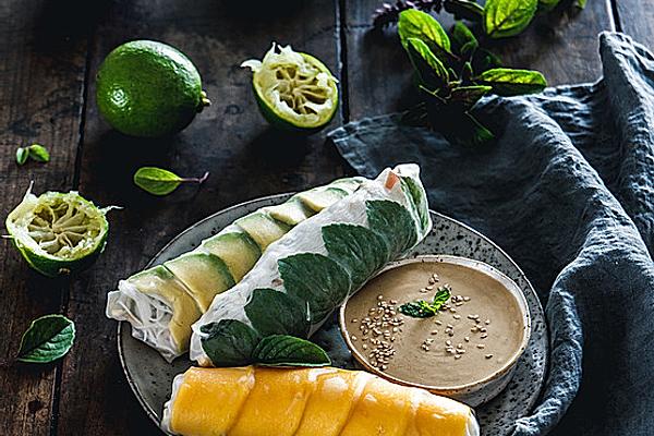Three Kinds Of Summer Rolls with Wasabi and Tahini Dip